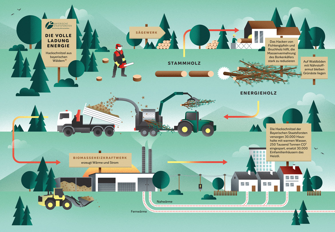 Bayerische Staatsforsten Infografik