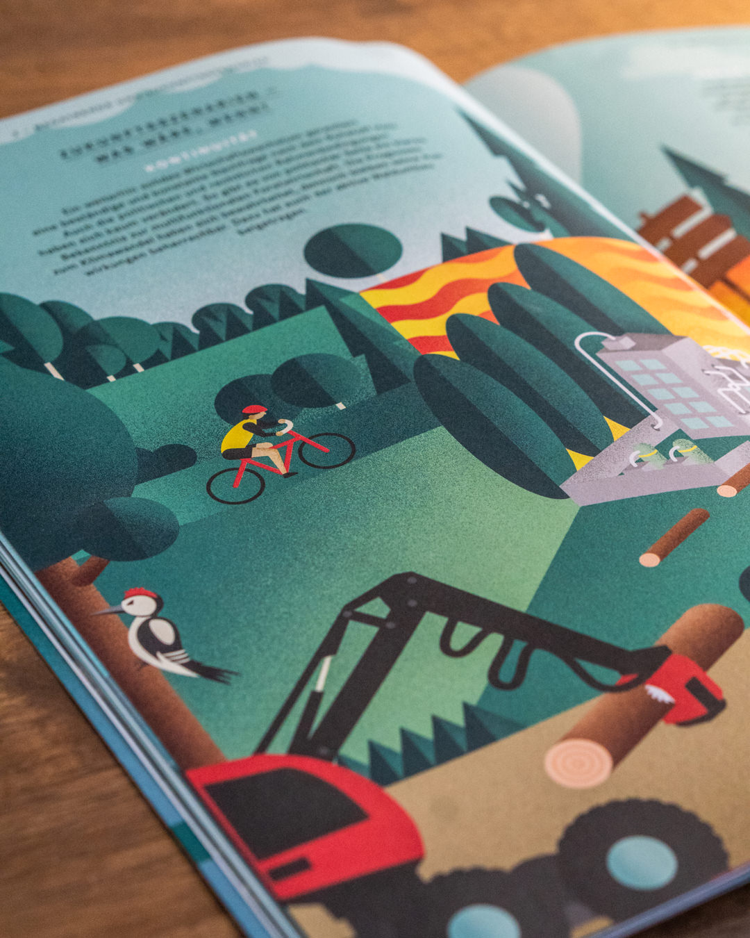 Bayerische_Staatsforsten_Editorial-Illustration_1-1