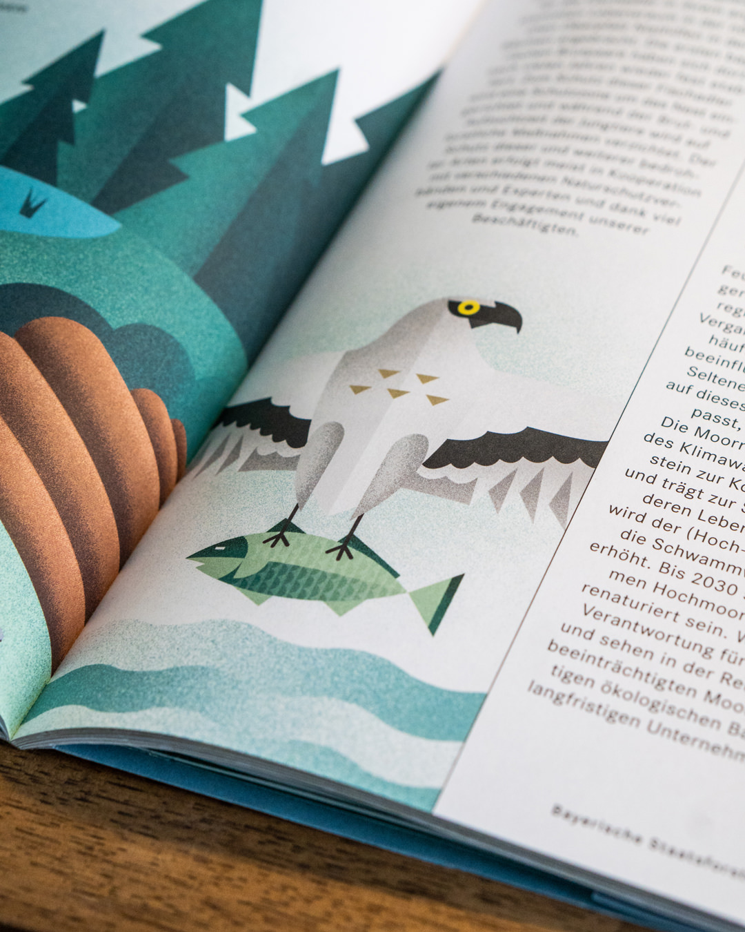 Bayerische_Staatsforsten_Editorial-Illustration_3