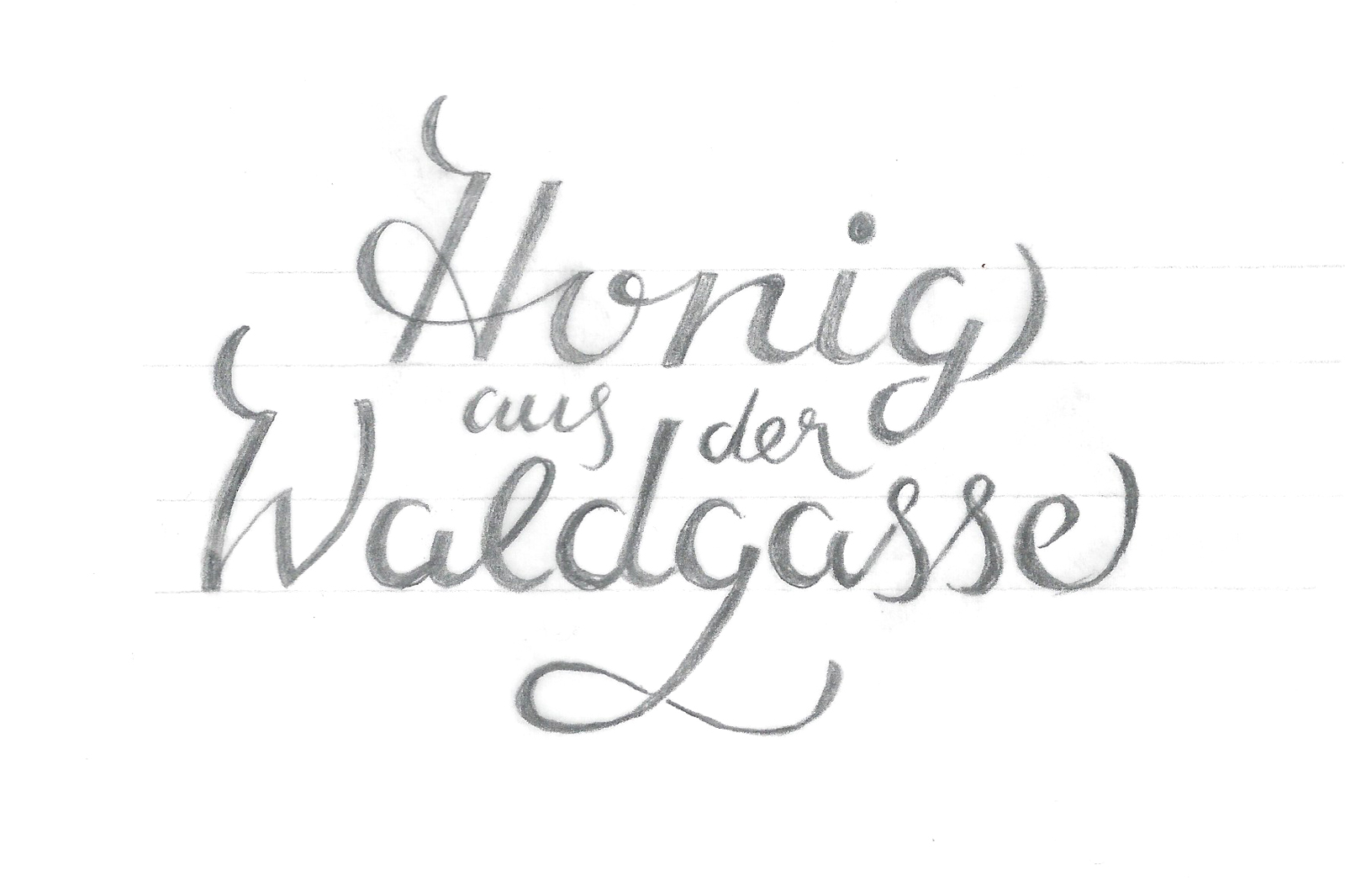 honig_sketch