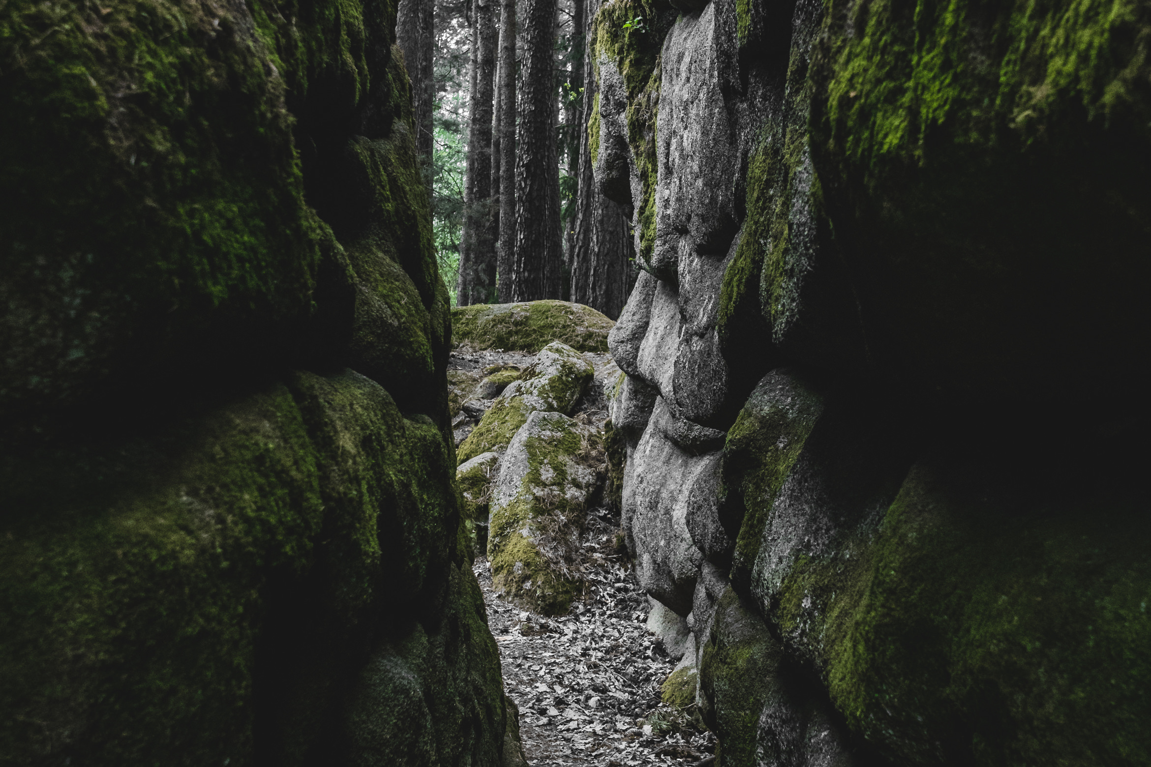 waldviertel_blockheide